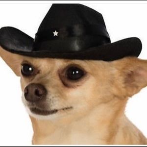 Meet your Posher, Wendy